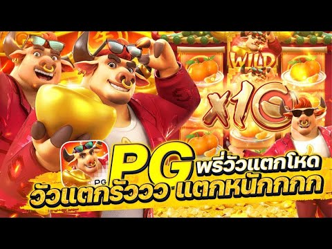 สล็อตเว็บตรง Fortune Ox PG l สล็อตวัวทอง พรี่วัวแตกโหด วัวแตกรัว แตกหนัก 24,000+