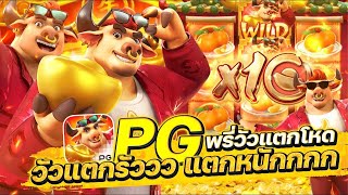 สล็อตเว็บตรง Fortune Ox PG l สล็อตวัวทอง พรี่วัวแตกโหด วัวแตกรัว แตกหนัก 24,000+