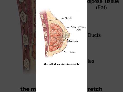 Early Sign of Pregnancy - TENDER BREAST