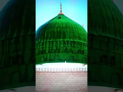 Jashn e Amad e Rasool - Farhan Ali Qadri #islam #freepalestine #shorts #youtubeshorts #shortvideo