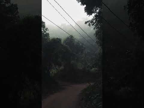 මලක් නම් එය මලක් උව මැන...😩❤️