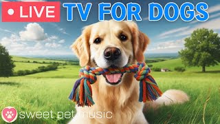 🔴24 Hours of Dog TV🎵🐶Calming Dog Music for Sleep🐾🩷Soothing Music for Stress Relief & Relaxation