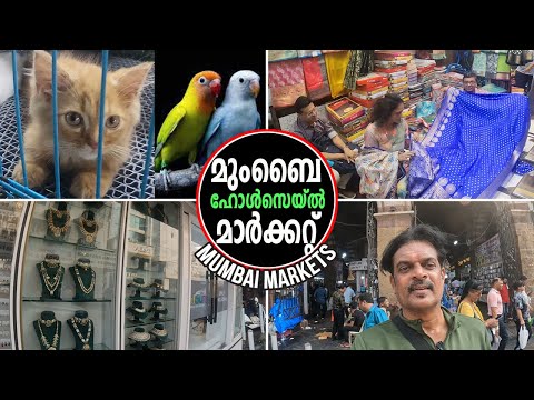 മുംബൈ മാർക്കറ്റ് l ജ്വല്ലറി മുതൽ ടെക്സ്റ്റൈൽ വരെ കാണാം l Wholesale Markets in   MUMBAI 🇮🇳