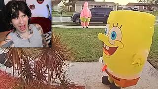 Craziest Footage Caught on Doorbell Cameras! (Full Stream)