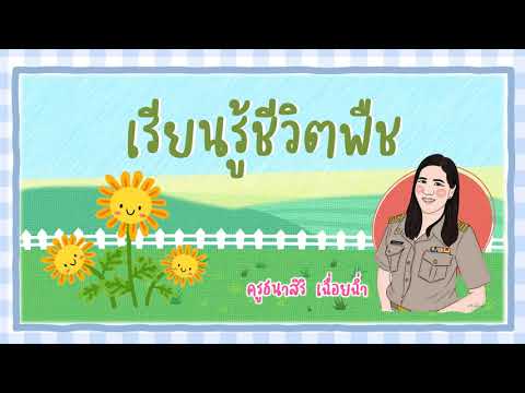 EP 9 เรียนรู้ชีวิตพืช
