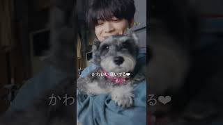 ワンちゃん🐶とSexy Zone🌹#人生遊戯#SexyZone #セクシーゾーン#佐藤勝利#中島健人#菊池風磨#松島聡