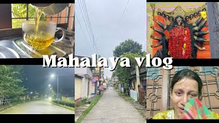 মহালয়া vlog ❤️ এইদিন থেকেই শুরু হয় বিপদ 😓