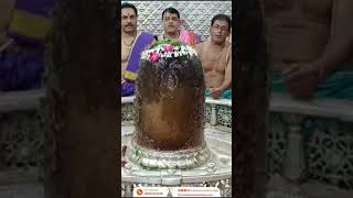 आज शनि प्रदोष महापर्व पर ज्योतिर्लिंग भगवान श्री महाकालेश्वर जी का एकादश एकादशीनी रुद्राभिषेक दर्शन