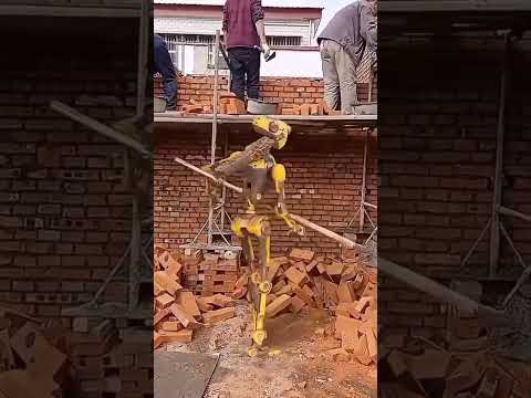 Robot works #RobotTechnology  #FutureOfRobots  #AIandRobotics