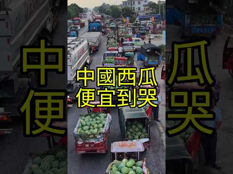 賣10斤西瓜只能買一包方便面，瓜農今年欲哭無淚