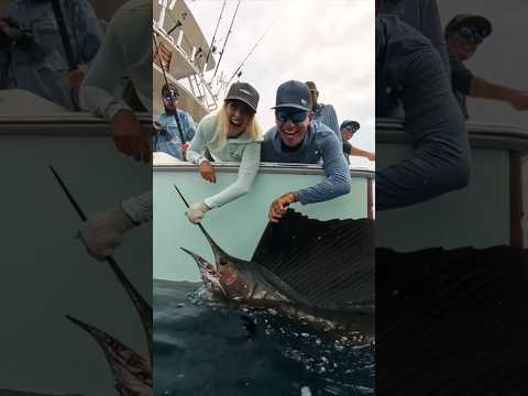INSANE billfish action happening in Costa Rica RIGHT NOW! 🎣🤯 #extremefishing