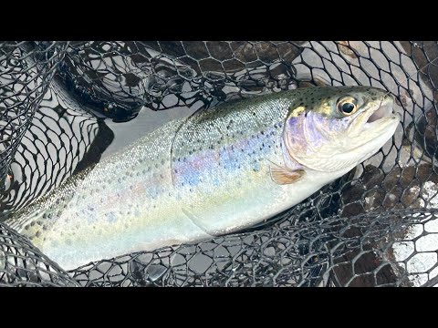 2024.12.12  北海道白老方面へ　ー2℃ ！竿納めしたんじゃないのー？！