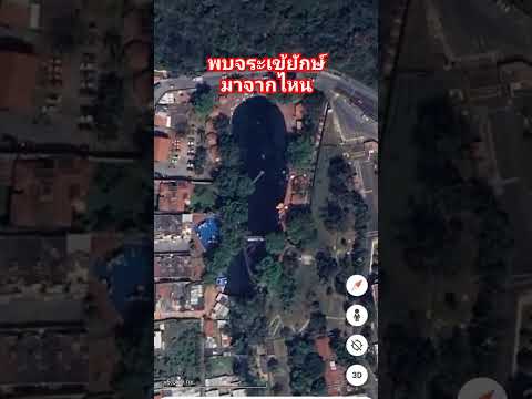 Google Earth น้ำท่วมพบจระเข้ยักษ์มาจากไหน #shorts