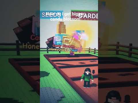 #roblox