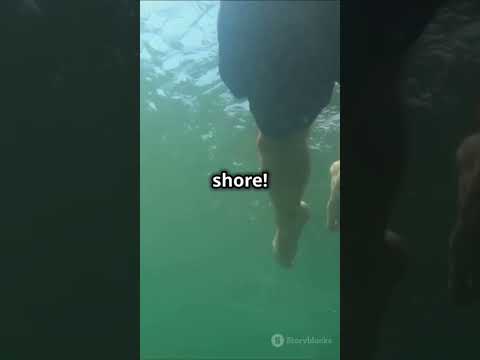 Uncommon Life-Saving Tips! 🚨 #lifehacks  #survival  #shorts