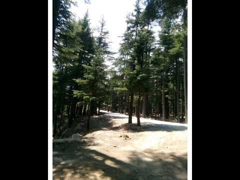 Beautiful Pakistan || Nature beauty || Traveling || Tourism in Pakistan || Exploring Pakistan