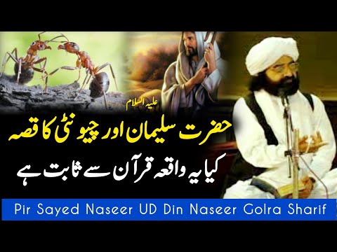 Hazrat Suleman A.s Aur Chunti Ka Waqia || Story || Peer Naseer Ud Din Naseer Golra Sharif