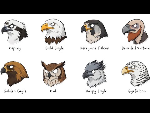 Every Sky PREDATOR Explained in 10 Minutes