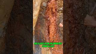 Traditional #goldmining signs that gold is hiding nearby #goldrush #goldpanning