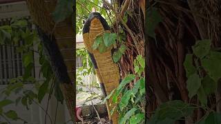 പരശുരാമൻ പ്രതിഷ്ഠിച്ച കേരളത്തിലെ ഈ ക്ഷേത്രത്തിൽ പോയിട്ടുണ്ടോ? #bhaktichannel #templestories #viral