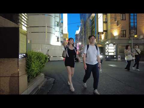 Relaxing Walk in Tokyo Japan Shinjuku Kabukicho Red Light District 大久保公園・新宿歌舞伎町トー横をお散歩！日本東京の繁華街！散歩動画
