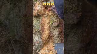 #mining #gold #goldindustry #goldbusiness #satisfying #unfrez #love #goldmining 😱😱😱😱😱