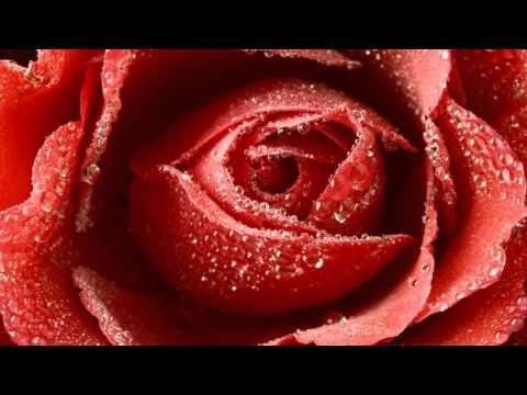 Lollipops and Roses. Herb Alpert & the Tijuana Brass. (1965)