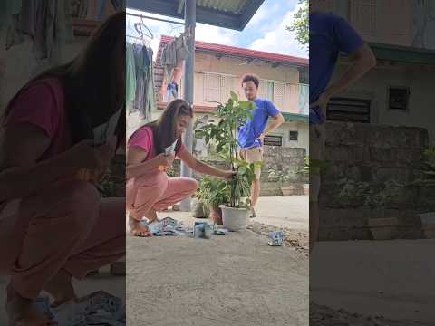 Mahiwagang halaman #funny #funnyvideo #moneytree #comedy #couple