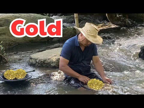 Suche nach Gold im geheimnisvollen Wald und etwas Wunderbares erscheint