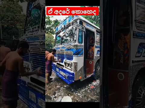 1k ගහන්න ඕන #automobile #sl #slmix #dj #youtube #srilanka #bus #slsongs #shorts