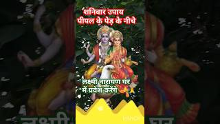 शनिवार का उपाय पीपल पेड़ के नीचे #pandit_pradeep_ji_mishra #upay  #katha #shiv #shorts @sairadha #yt