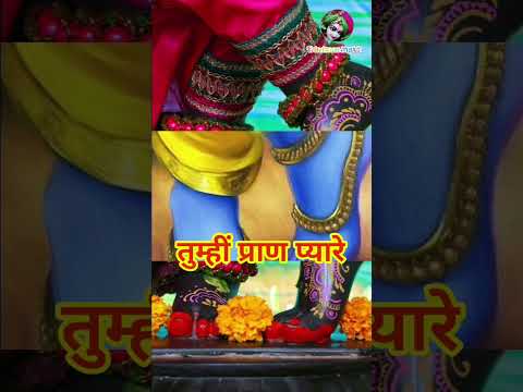 charan darshan #vrindavan_bhakti #shortsviral #shorts #trending #viral