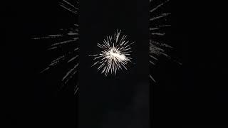 sky shot testing #skyshot #fireworks #crackerguru