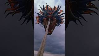 Is This The Biggest Kite?