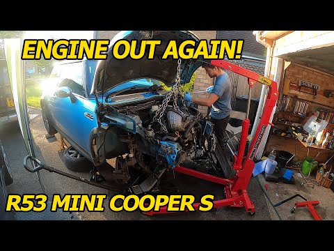 Mini Gets some UPGRADES (PROJECT BLUE SHOE BOX EP13)