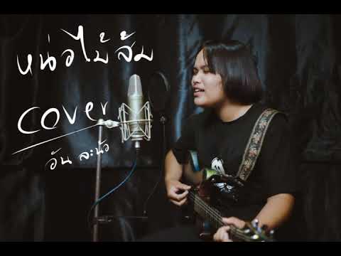 หน่อไม้ส้ม cover - อัน ละน้อ