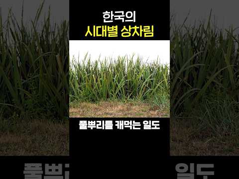 500년 전 한국인의 상차림