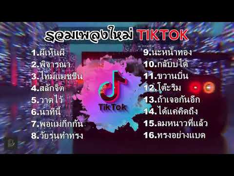 รวมเพลงฮิต บน tiktok เพลงดี ฟังสบายๆ