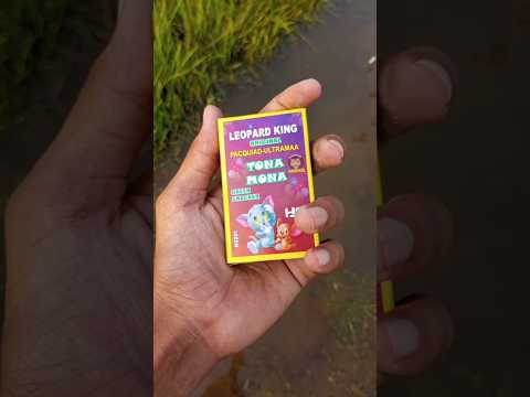 Bidi Bomb पानी वाला testing | Diwali cracker testing video 2025 #shorts #diwali #experiment #viral