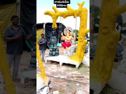 నాయుడుపేటలో గణనాథుడి కొత్త ప్రతిమలు#shorts #shortvideo
