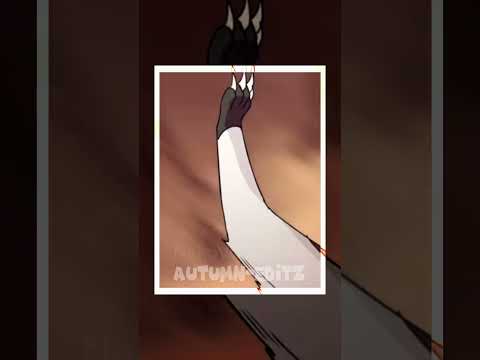 More Swiftpaw content bcuz why not  // #warriorcats #warriors #warriorsedit #edit #swiftpaw