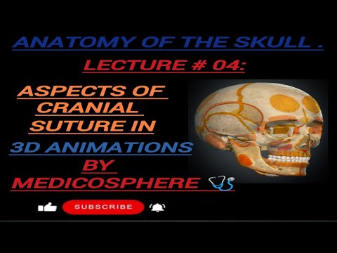 LECTURE # 04:PART# 02: ASPECTS OF CRANIAL SUTURE IN 3D ANIMATIONS BY MEDICOSPHERE 🩺.#anatomy #3d