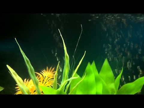 2013-03-10_20-56-34_862.mp4