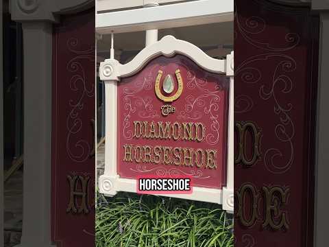 Best place to eat at magic kingdom if you are really really hungry!! #magickingdom #disneyworld