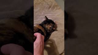 The person responsible for your life is...