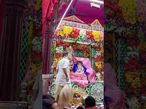 Shri ji vivha utsav #trending #bhakti #radhavallabh #vrindavan #bankebihari #radharani #shorts