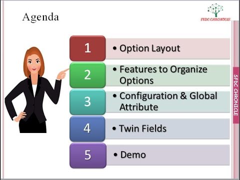 Salesforce CPQ Session 2 : Attributes, Features, Option Layout