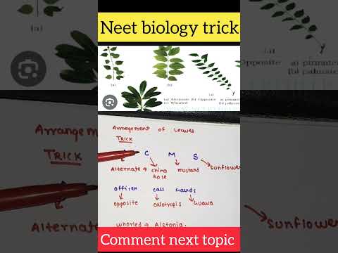 morphology of plants neet tricks #neet2024 #mbbs #aiimsdelhi #anatomyoffloweringplants  #shortsbeta