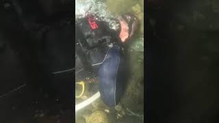 Gold dredging Idaho! #prospecting #oro #gold #goldrush #goldmining #riverlife #dredging #underwater
