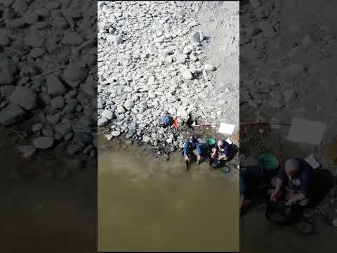 Buzzing Claim Jumpers with Drone